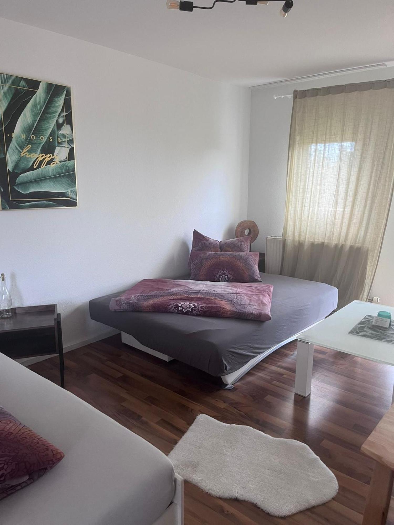 Mels Appartment 施韦青根 外观 照片