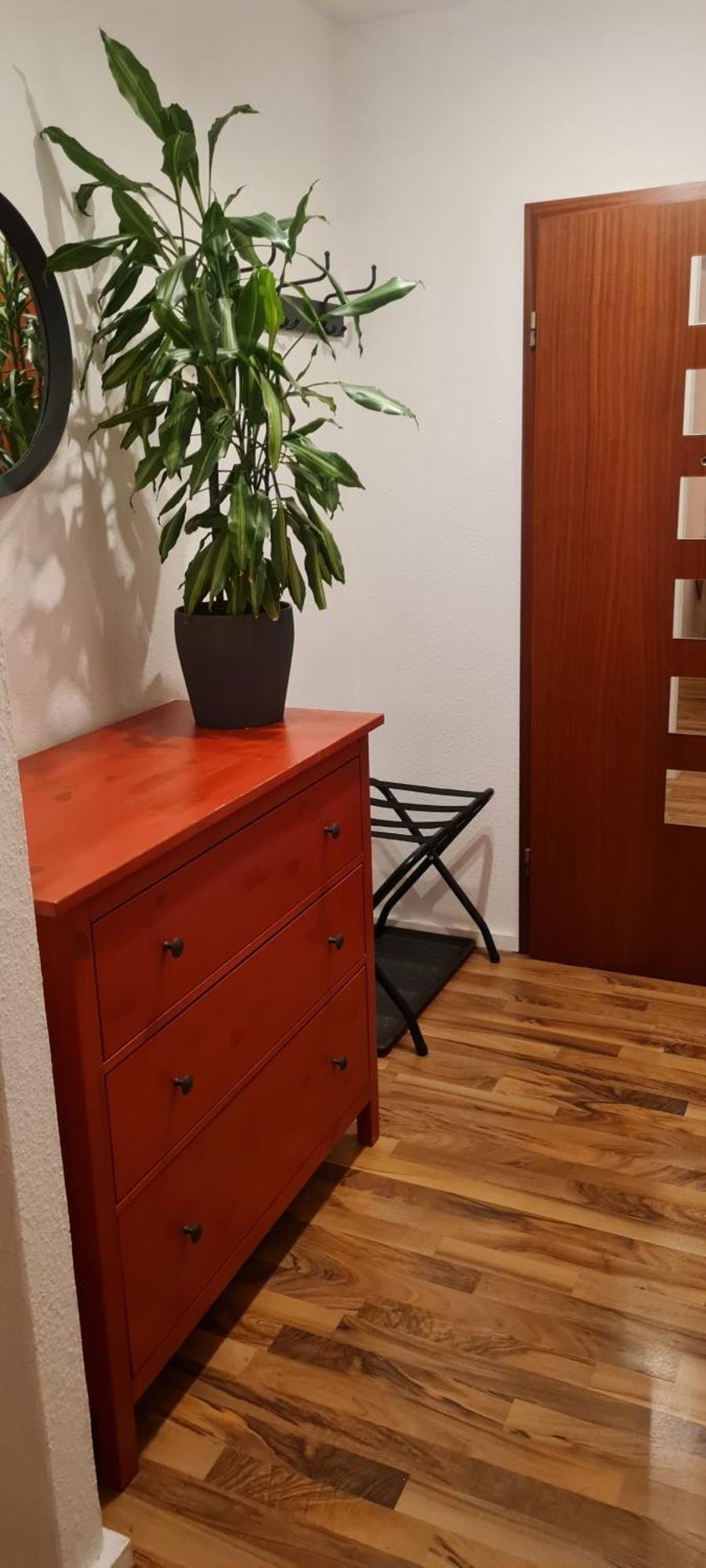 Mels Appartment 施韦青根 外观 照片